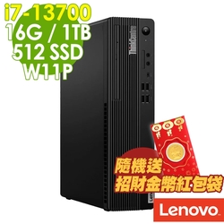 Lenovo ThinkCentre M70s (i7-13700/16G/1TB+512G SSD/W11P)