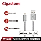 Gigastone GC-3800S 鋁合金 Apple Lightning 1.5M編織充電傳輸線(支援iPhone 14/13/12) product thumbnail 1