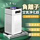 日本熱賣負離子空氣淨化器 product thumbnail 2