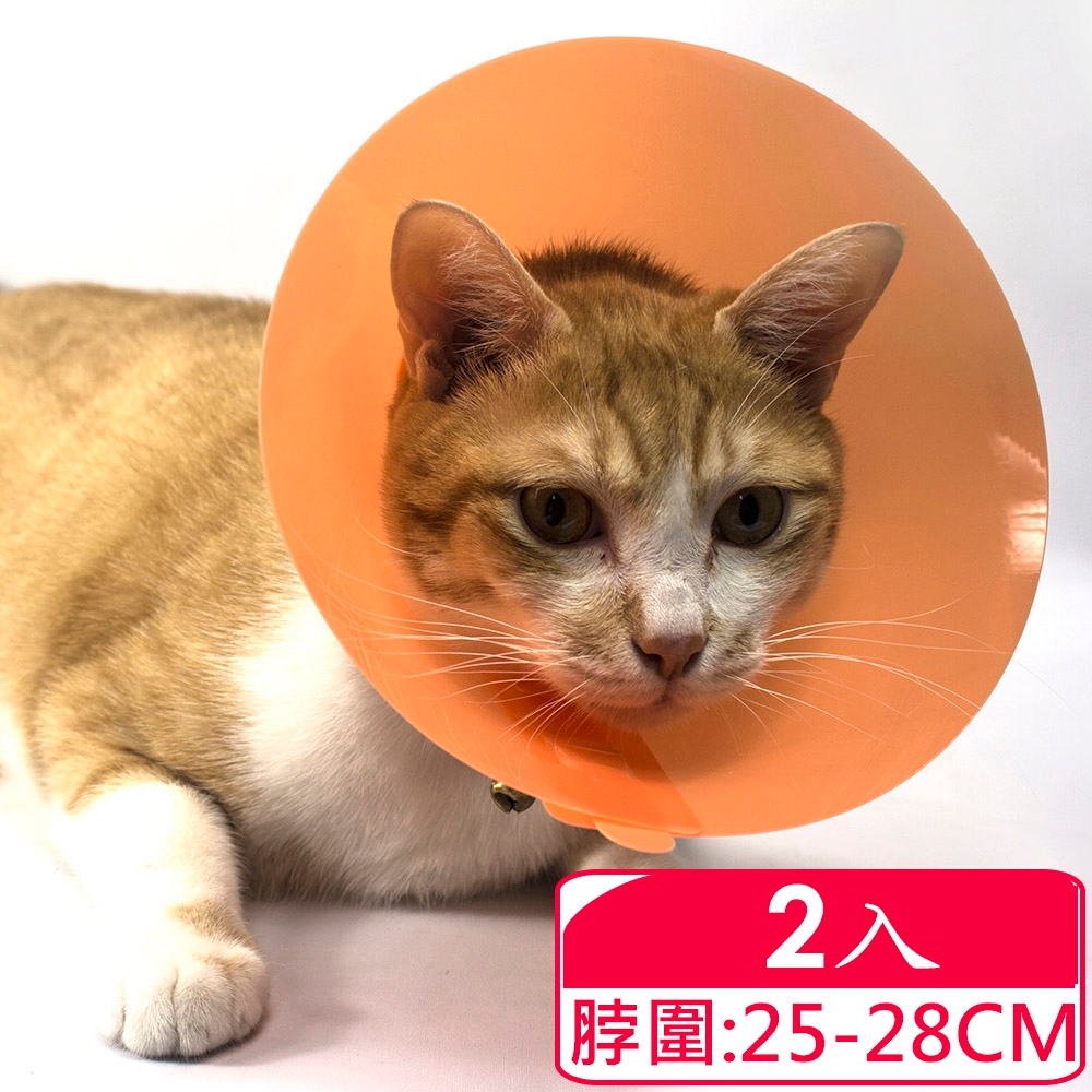 【Aaronation 愛倫國度】貓狗寵物項圈頸圈手術傷口防舔傷口癒合保護(DR-AC-2)