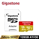 Gigastone Ultra Plus microSDXC UHS-I U3 A1 V30 128G記憶卡(附轉卡) product thumbnail 1