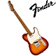 『FENDER』Player 系列限量琴款電吉他 Telecaster Roasted Maple / 公司貨保固 product thumbnail 2