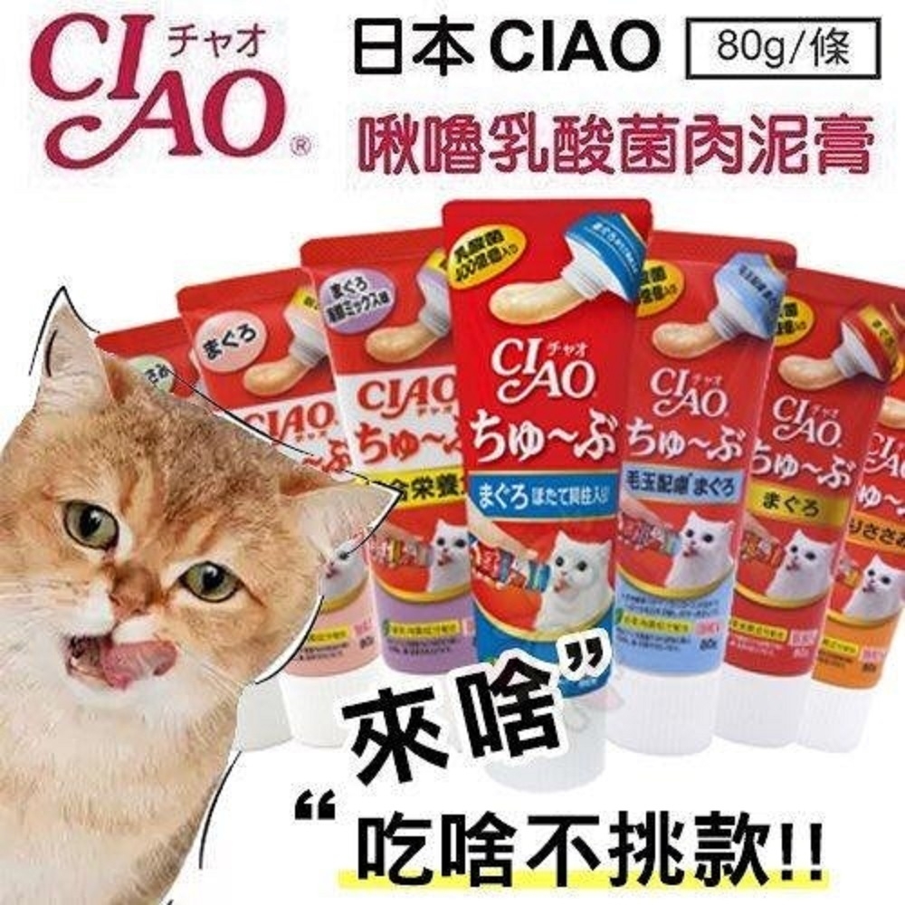 日本CIAO肉泥膏80GX6(日本原裝進口)買3送3