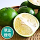 【果物配-任699免運】綠寶石葡萄柚500g．友善農法(1~2顆) product thumbnail 1
