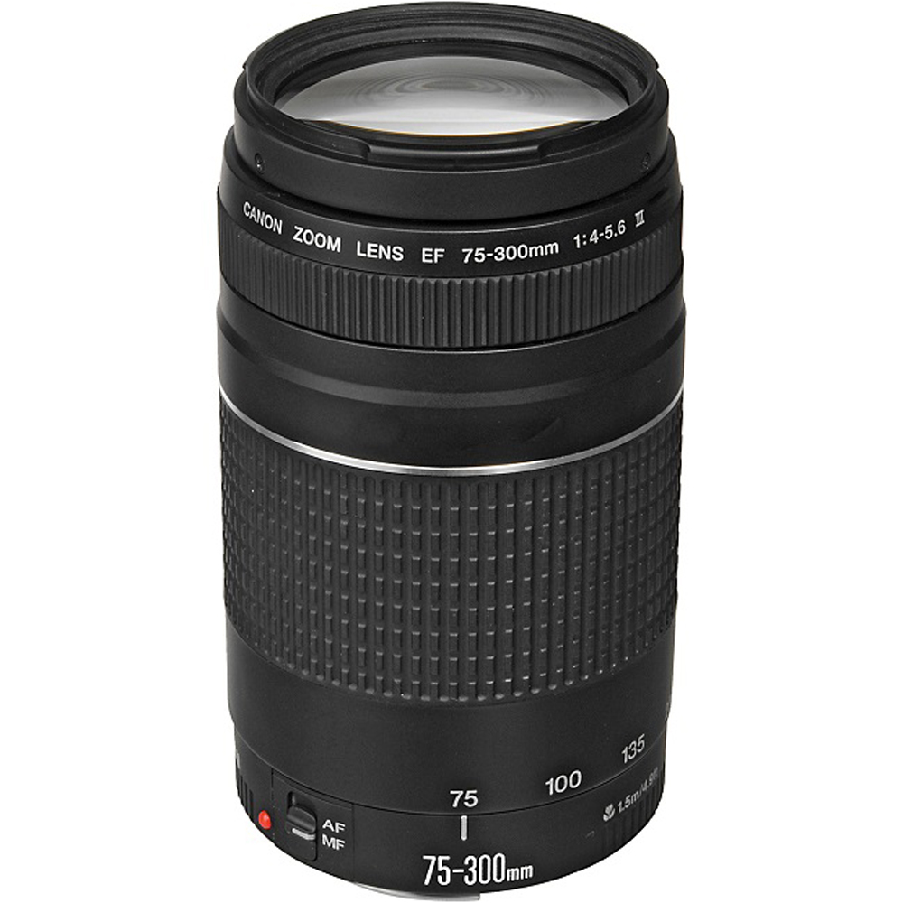 望遠 Canon EF 75-300mm F4-5.6 III USM-