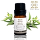 【Thai Scent 泰香】冷杉 尤加利 香茅 廣藿香 檸檬草 100%純精油 10ml(任選) product thumbnail 3