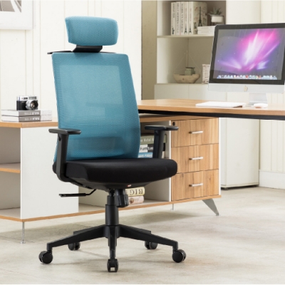 E-home Passion高背半網人體工學電腦椅 藍色