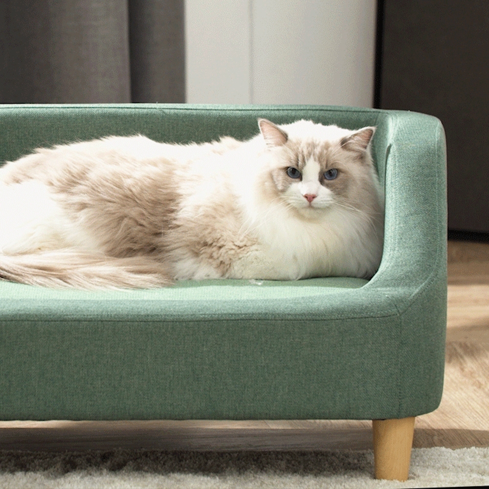 【Teamson pets】可拆式寵物沙發床-海綠色 可拆換洗墊/寵物窩/貓窩/狗窩/睡窩