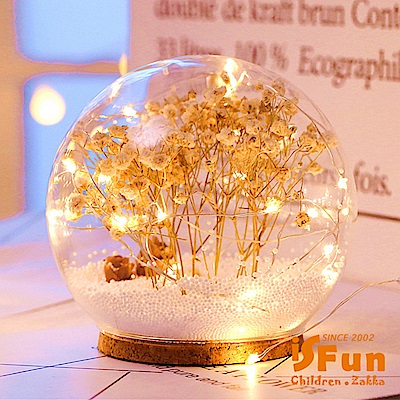 iSFun 夢幻水晶球 聖誕雪花情境玻璃球燈 白乾燥花