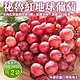 【天天果園】秘魯紅地球葡萄2袋(每袋約800-900g) product thumbnail 1