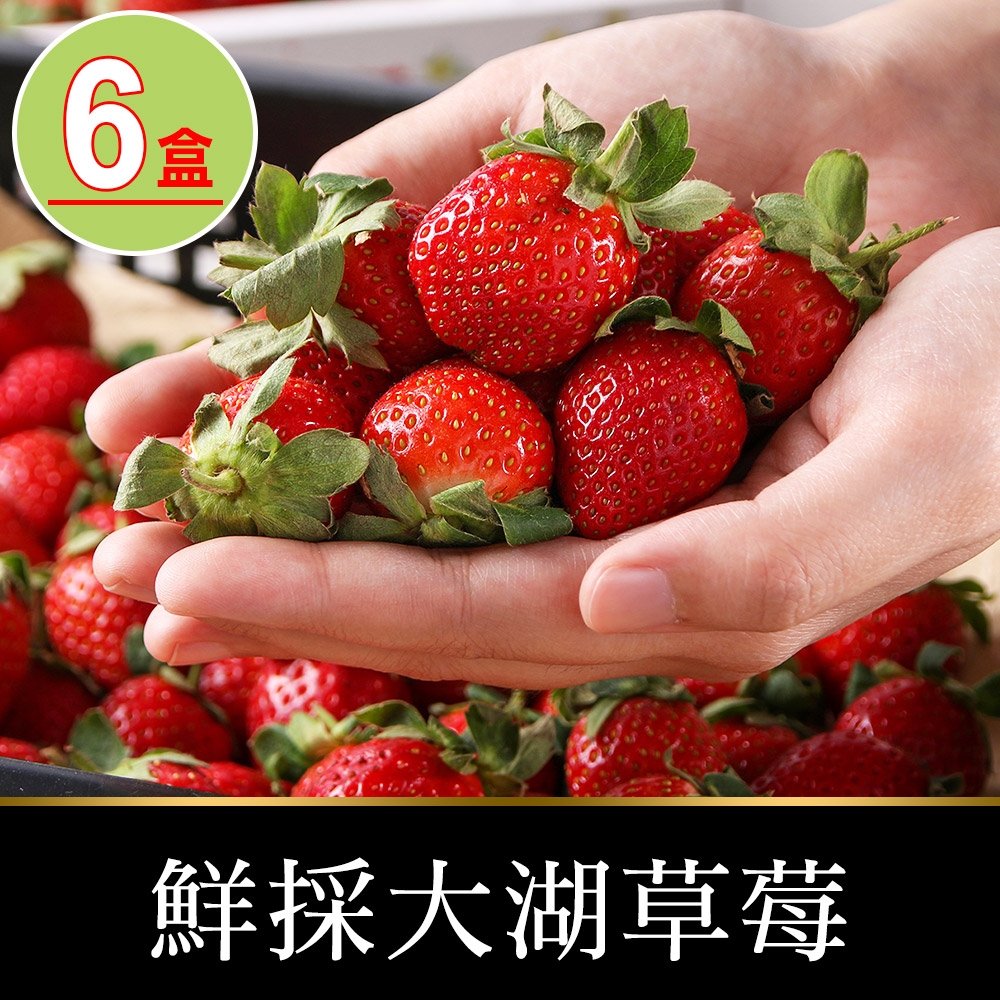 【享吃鮮果】鮮採大湖草莓6盒(300g±10%/盒)