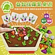 Playful Toys 頑玩具 益智拔蘿蔔桌遊 (兒童益智玩具) product thumbnail 1