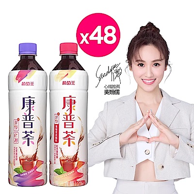 康普茶雙纖飲530ml(48入)