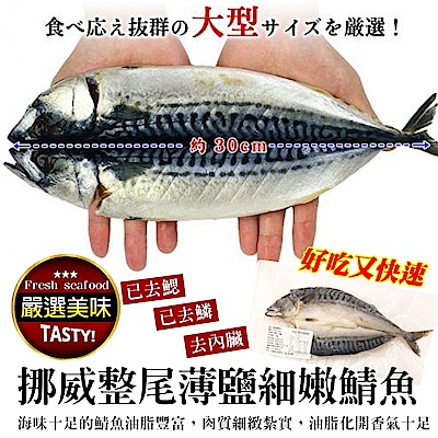 【海陸管家】挪威3去處理薄鹽鯖魚5尾(每尾約180g)