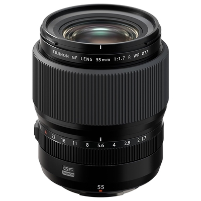 FUJIFILM GF 250mm F4 R LM OIS WR 中長焦微距鏡頭公司貨| GFX 系列