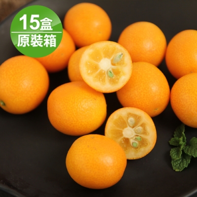 愛上水果 日本宮琦縣金桔原裝箱15盒*1箱(250g/盒)