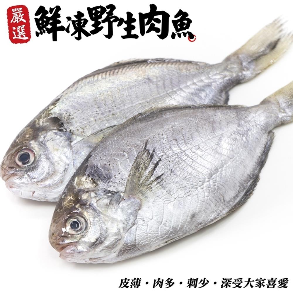 (滿699免運)【海陸管家】新鮮野生肉魚/肉鯽仔2尾(每尾約100g)