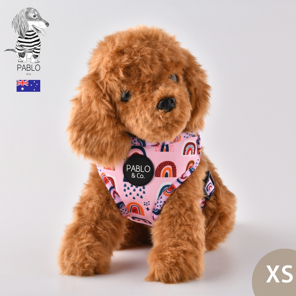 澳洲Pablo & Co 可調整式胸背帶 寵物胸背帶 狗狗胸背帶 更美麗彩虹 XS