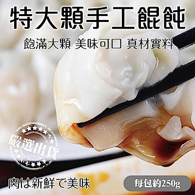 海陸管家手工大顆鮮肉餛飩(每包10顆/共約250g) x12包