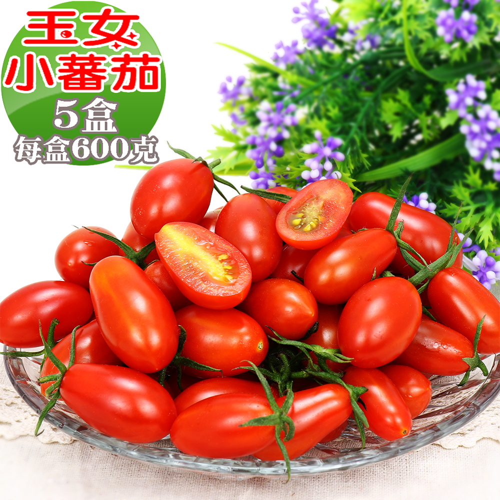 愛蜜果 溫室玉女小番茄5盒(600克/盒)