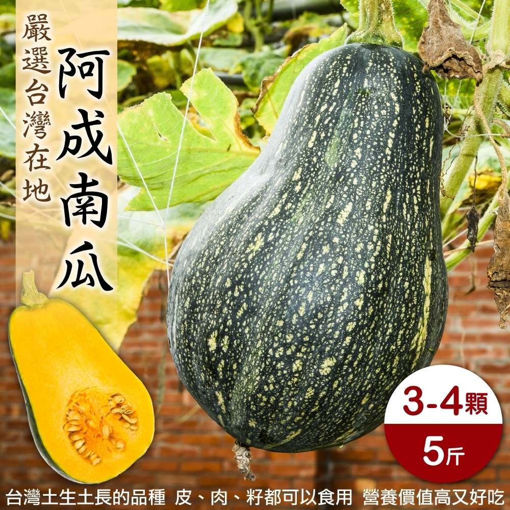 【果農直配】嚴選台灣阿成南瓜5斤(約3-4顆)