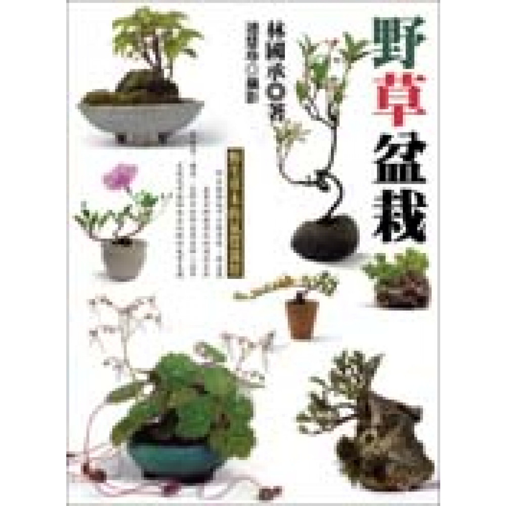 野草盆栽 | 拾書所