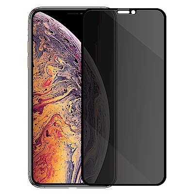 Metal-Slim Apple iPhone Xs/X 防窺滿版9H鋼化玻璃貼