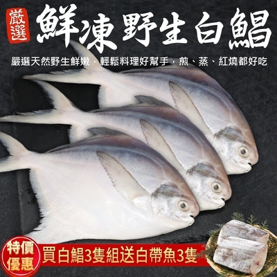 贈白帶魚【海陸管家】鮮嫩野生白鯧魚3尾(每尾220g-280g)