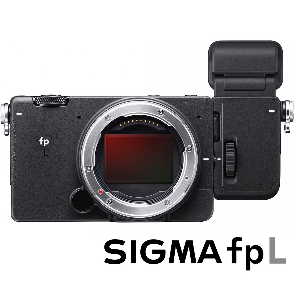 Hiroaki_1977さま専用 SIGMA EVF-11 デジタルカメラ | apsofny.com