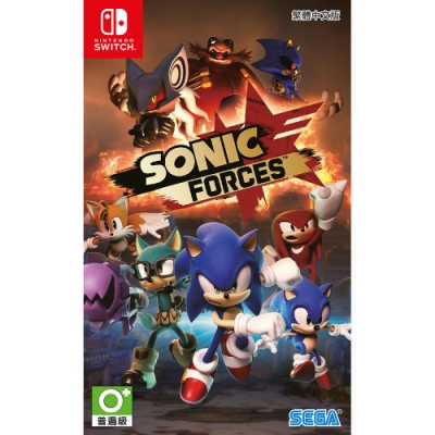 NS SONIC FORCES (中文版)