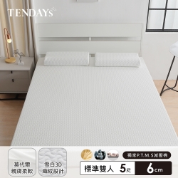 【TENDAYS】舒眠柔睡紓壓床墊5尺標準雙人(6cm厚 記憶棉層+高Q彈纖維層)-買床送枕