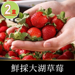 【享吃鮮果】鮮採大湖草莓2盒