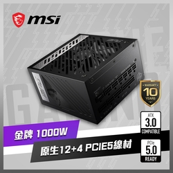 MSI微星 MPG A1000G PCIE5 電源供應器