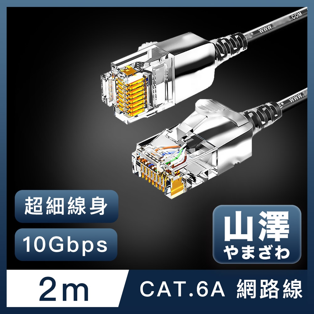 山澤 Cat.6A 10Gbps超高速傳輸八芯雙絞鍍金芯極細網路線 黑/2M