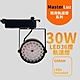 MasterLuz-30W LED商用36燈太陽花軌道燈(OSRAM晶片) product thumbnail 3