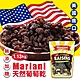 【Mariani】天然葡萄乾(1.13kg/袋) product thumbnail 1