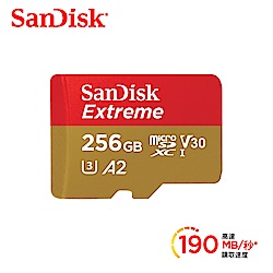 256GB