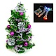 交換禮物-摩達客 迷你1尺(30cm)裝飾聖誕樹(銀紫色系+LED20燈彩光電池燈) product thumbnail 1