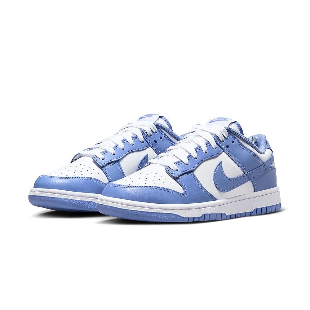 Nike Dunk Low Polar Blue 男極地藍低筒穿搭潮流運動休閒鞋DV0833-400