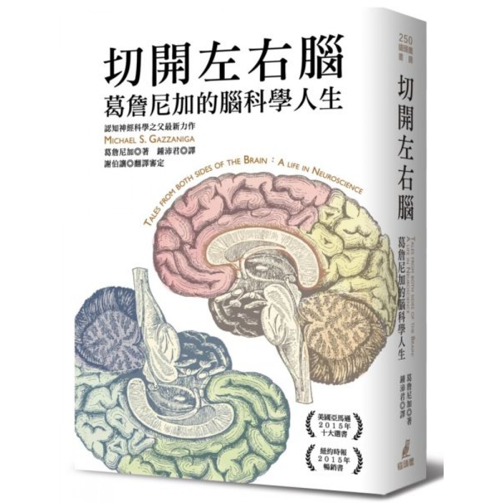 切開左右腦：葛詹尼加的腦科學人生