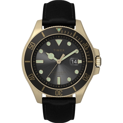 TIMEX 天美時 風格系列 43 毫米金色調經典手錶 (黑x黑 TXTW2V42200)