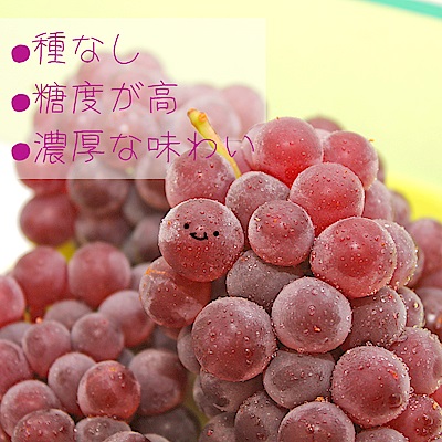 【鮮果日誌】山梨縣 溫室珍珠葡萄2kg (12-16房)