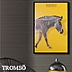 TROMSO 北歐時代風尚有框畫-摩登斑馬WA180 product thumbnail 1