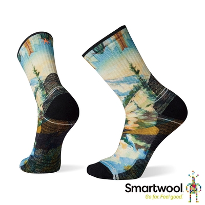 官方直營 Smartwool 機能戶外全輕量減震PRINT中長襪 霧藍 美麗諾羊毛襪 登山襪 保暖襪 除臭襪