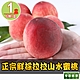 【享吃鮮果】正宗鮮採拉拉山水蜜桃1箱(1.3kg±10%/6顆/箱) product thumbnail 1