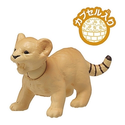 任選 TOMICA AC-01 獅子寶寶_AN20611 多美動物園