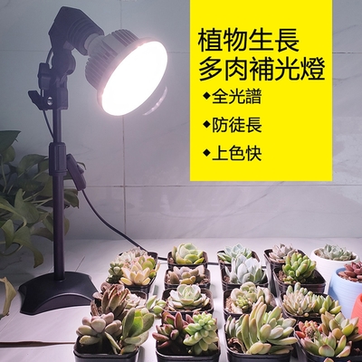 【小倉Ogula】多肉補光燈 植物生長燈 上下升降/多角度可調 25瓦伸縮植物燈 LED全光譜照射燈