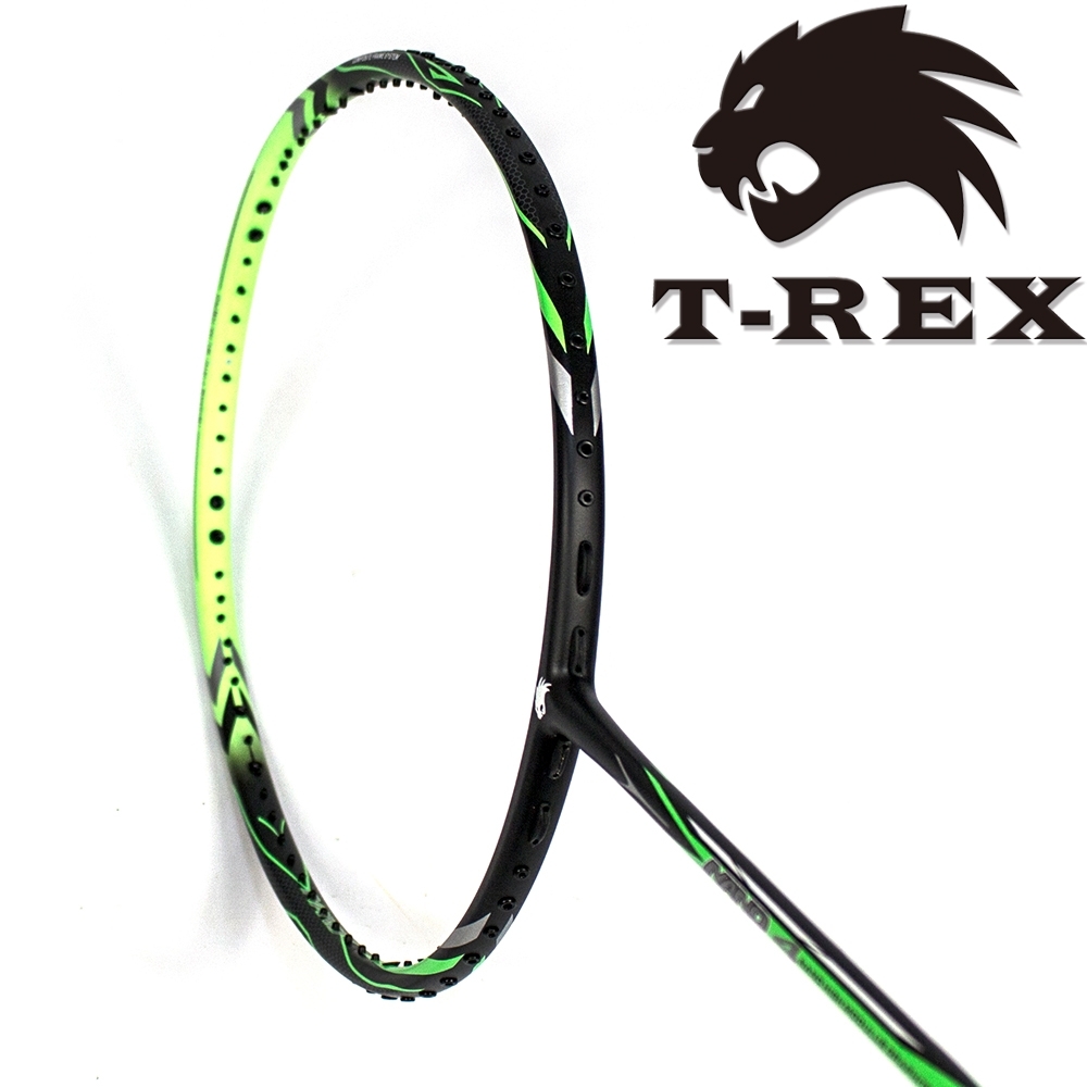 T-REX 雷克斯選手愛用碳纖維複合羽球拍YS-NANO4