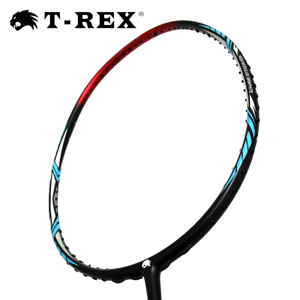 T-REX 雷克斯消光黑碳纖維複合羽球拍YS-STORM3108