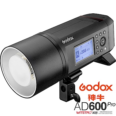 GODOX 神牛 AD600 Pro 600W TTL 鋰電池一體式外拍燈 (公司貨)